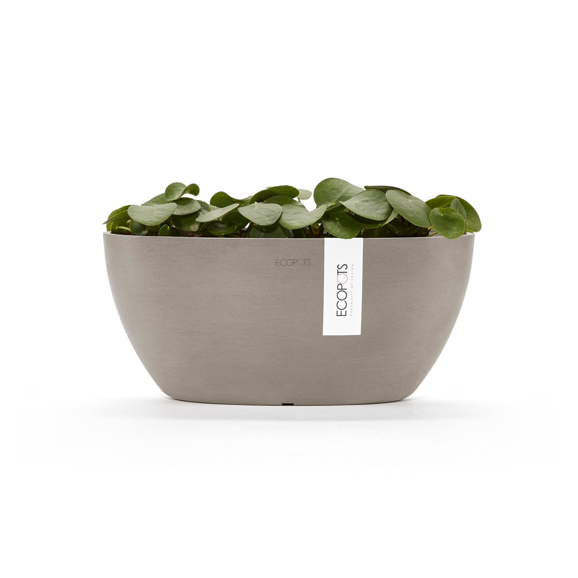 Kukkaruukku - Ecopots - Sofia 30cm taupe - Ecopotskauppa - Uuden aikakauden kukkaruukku