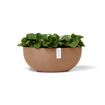 Kukkaruukku Sofia 43cm terracotta – kasvin kanssa
