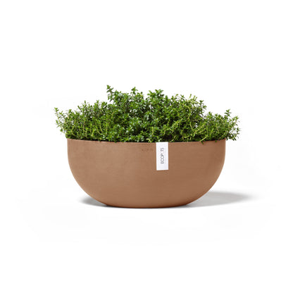 Kukkaruukku Sofia 43cm terracotta – kasvin kanssa 3