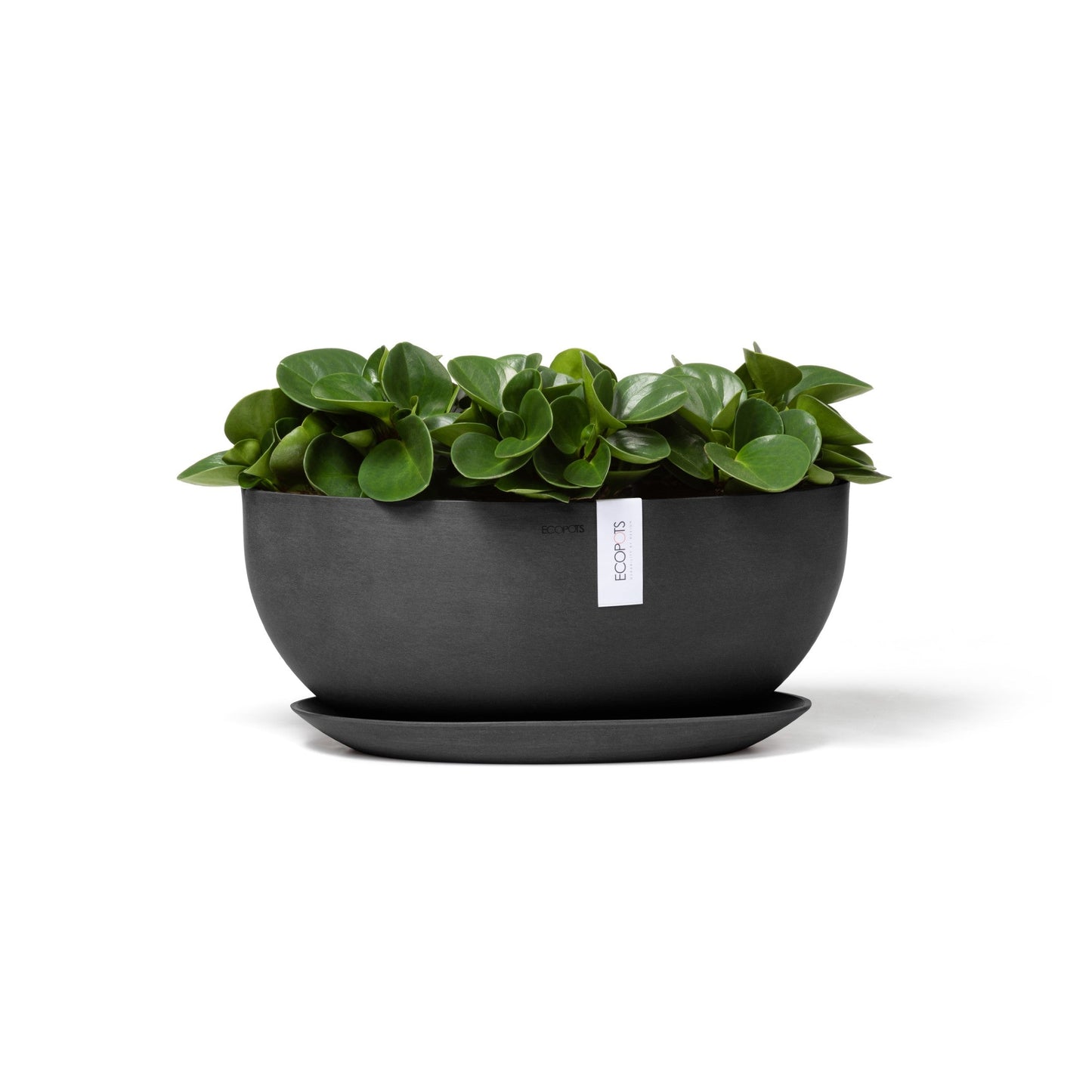 Kukkaruukku - Ecopots - Sofia 43cm tummanharmaa - Ecopotskauppa - Uuden aikakauden kukkaruukku