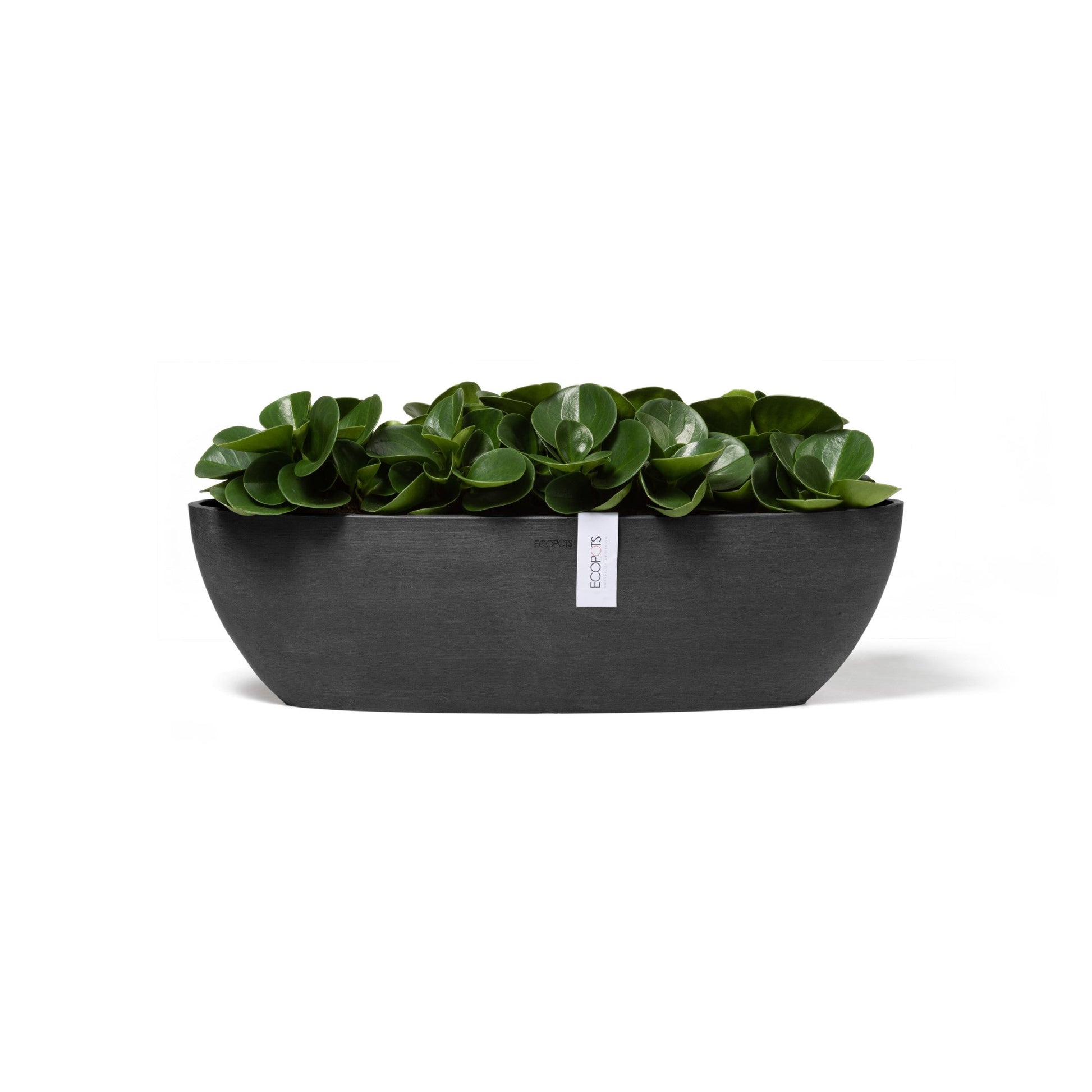 Kukkaruukku - Ecopots - Sofia pitkä 56cm tummanharmaa - Ecopotskauppa - Uuden aikakauden kukkaruukku