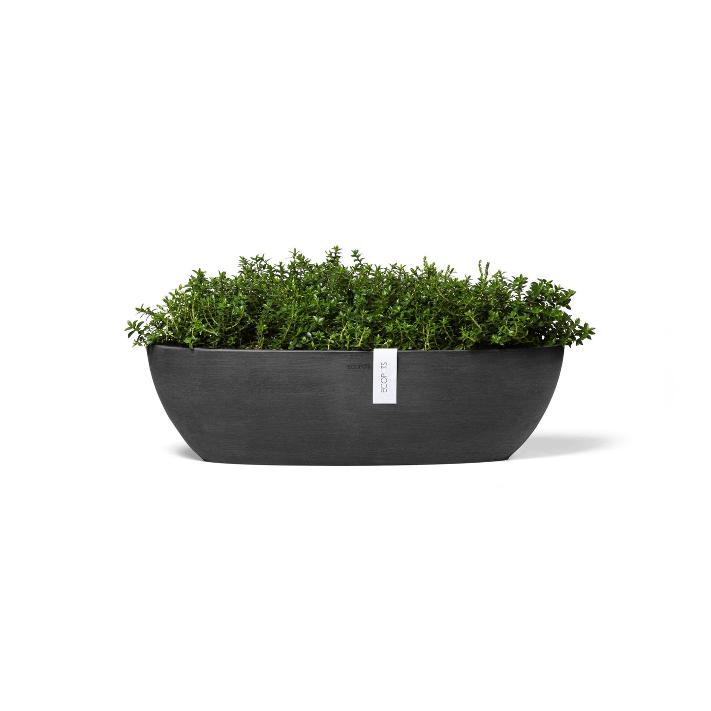 Kukkaruukku - Ecopots - Sofia pitkä 56cm tummanharmaa - Ecopotskauppa - Uuden aikakauden kukkaruukku