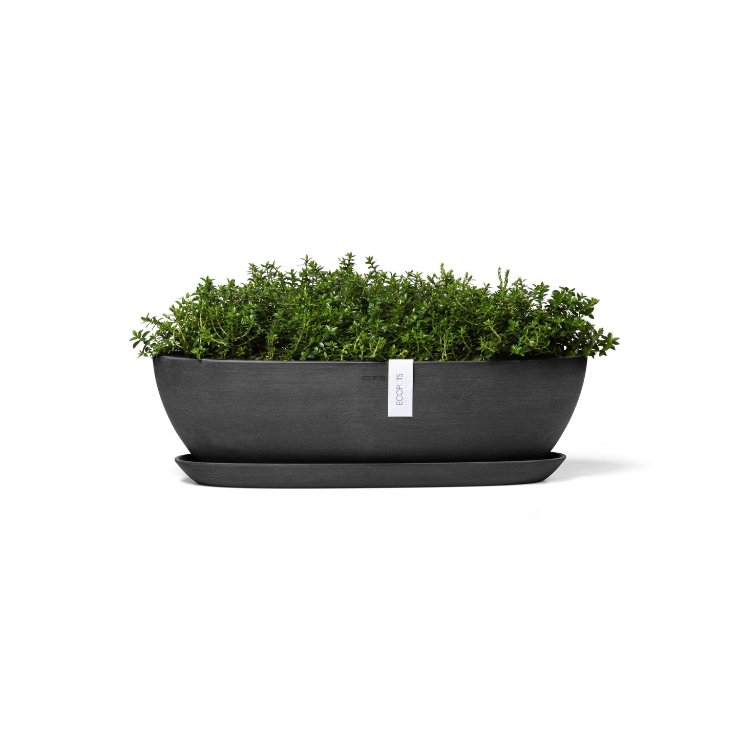 Kukkaruukku - Ecopots - Sofia pitkä 56cm tummanharmaa - Ecopotskauppa - Uuden aikakauden kukkaruukku