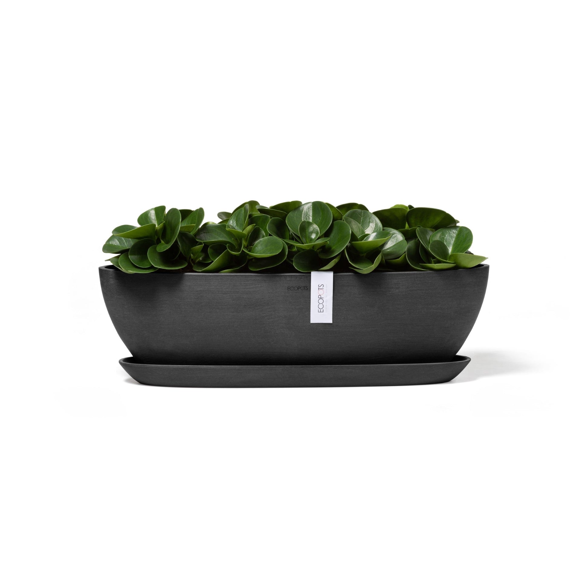 Kukkaruukku - Ecopots - Sofia pitkä 56cm tummanharmaa - Ecopotskauppa - Uuden aikakauden kukkaruukku