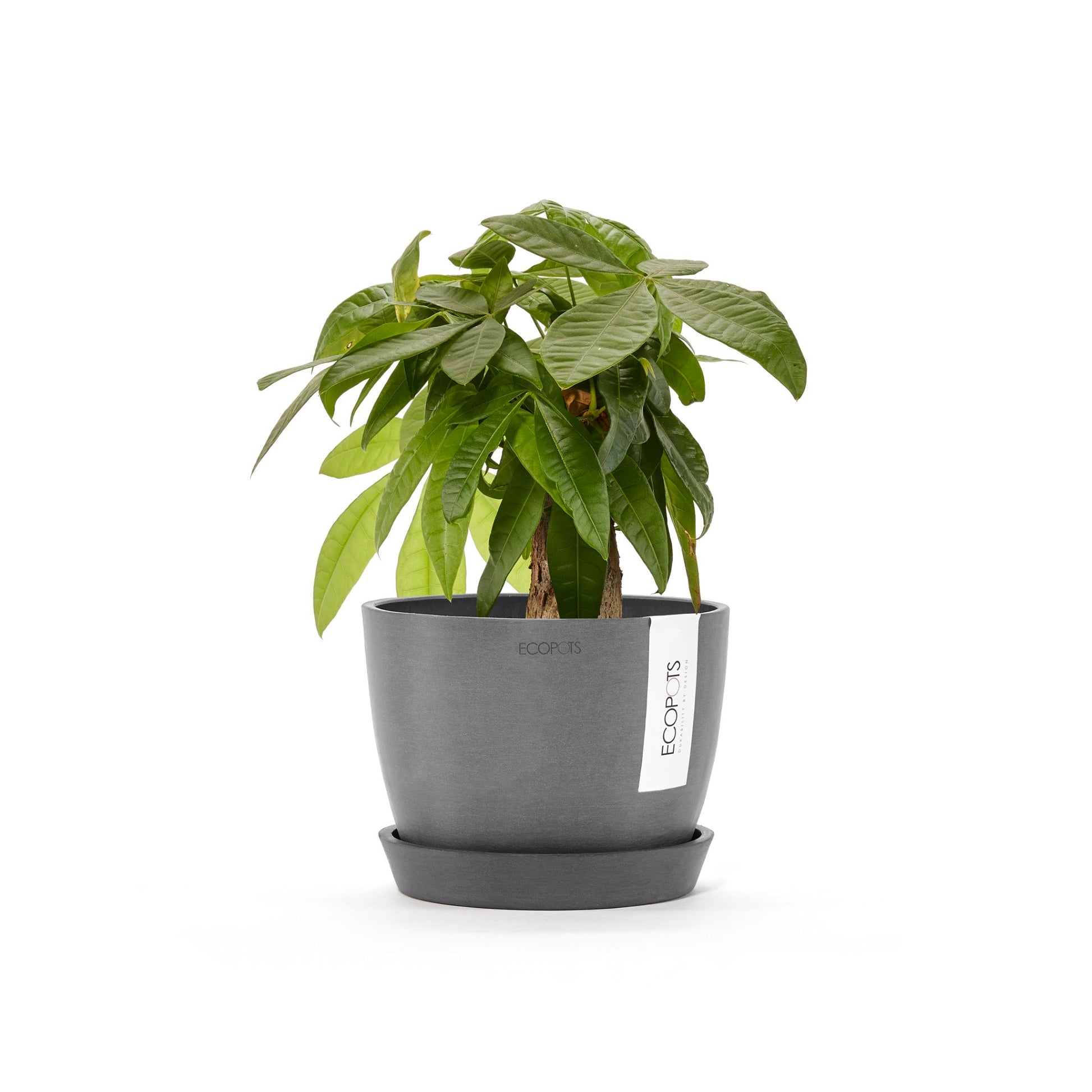 Kukkaruukku - Ecopots - Tukholma 16cm harmaa - Ecopotskauppa - Uuden aikakauden kukkaruukku