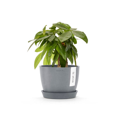 Kukkaruukku - Ecopots - Tukholma 16cm siniharmaa - Ecopotskauppa - Uuden aikakauden kukkaruukku