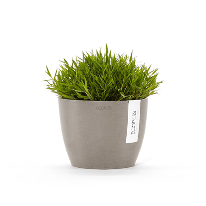 Kukkaruukku Tukholma 16cm taupe – kasvin kanssa 3