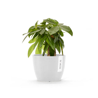 Kruka Stockholm 16cm vit
