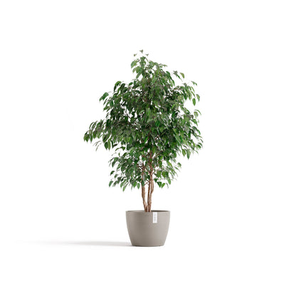 Kukkaruukku Tukholma 31cm taupe