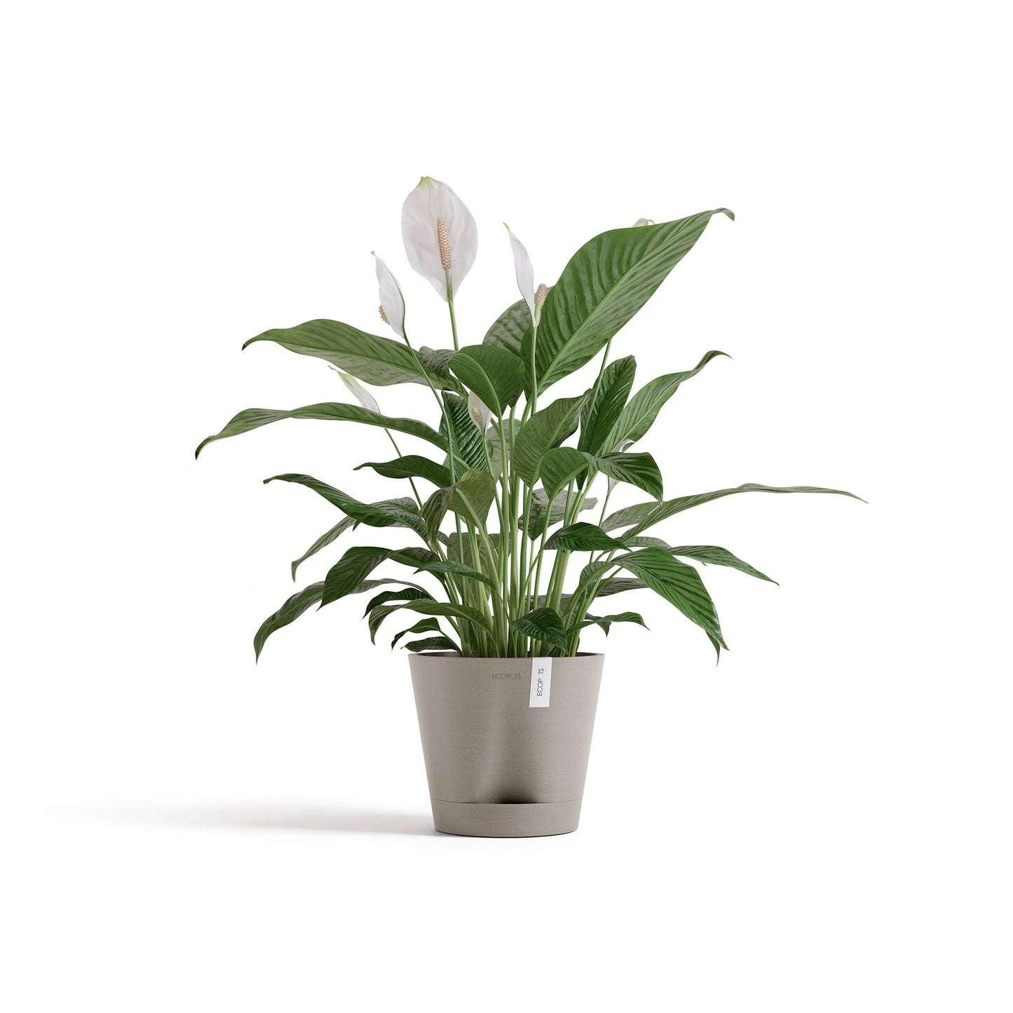 Kukkaruukku - Ecopots - Venetsia 2.0 20cm taupe - Ecopotskauppa - Uuden aikakauden kukkaruukku