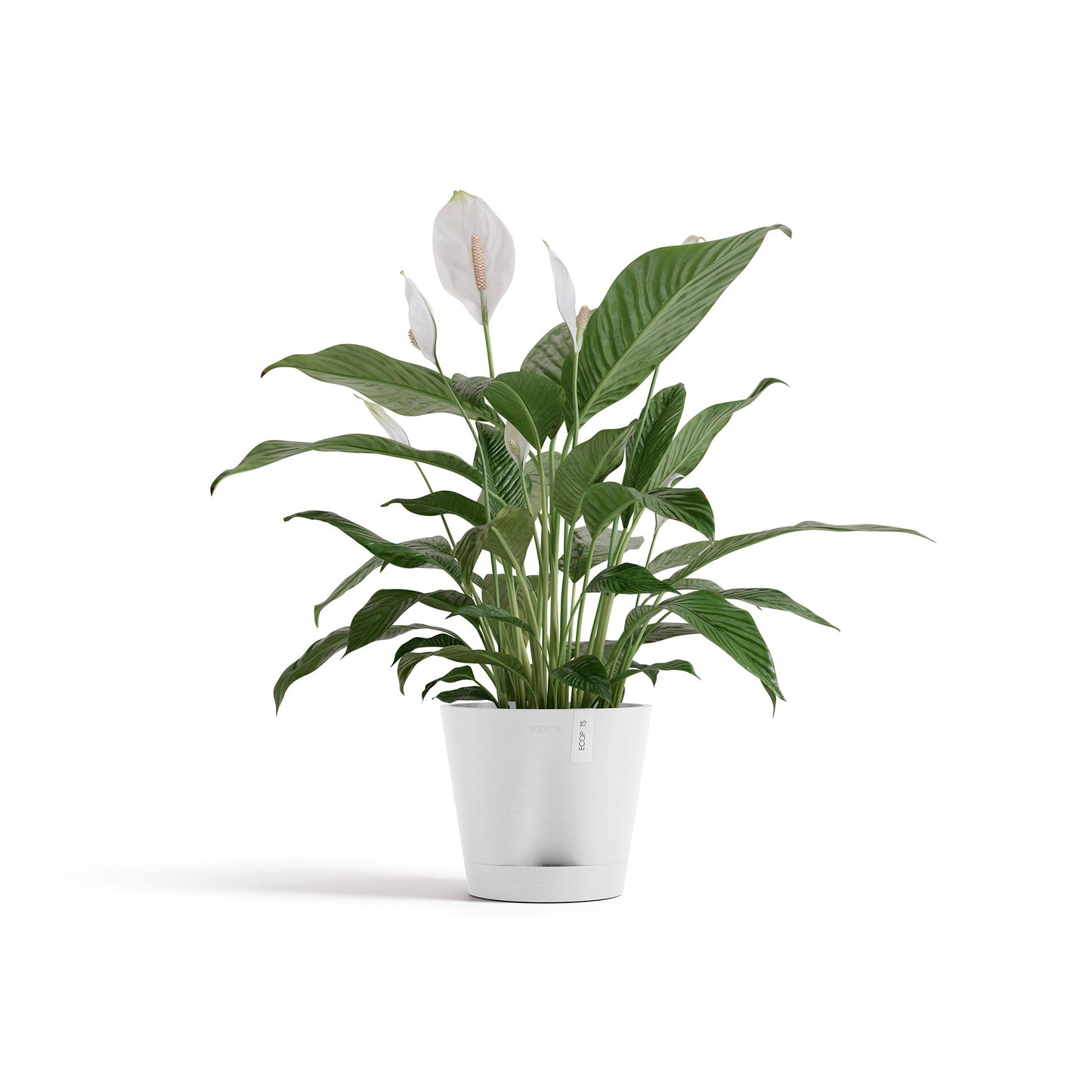 Kukkaruukku - Ecopots - Venetsia 2.0 20cm valkoinen - Ecopotskauppa - Uuden aikakauden kukkaruukku