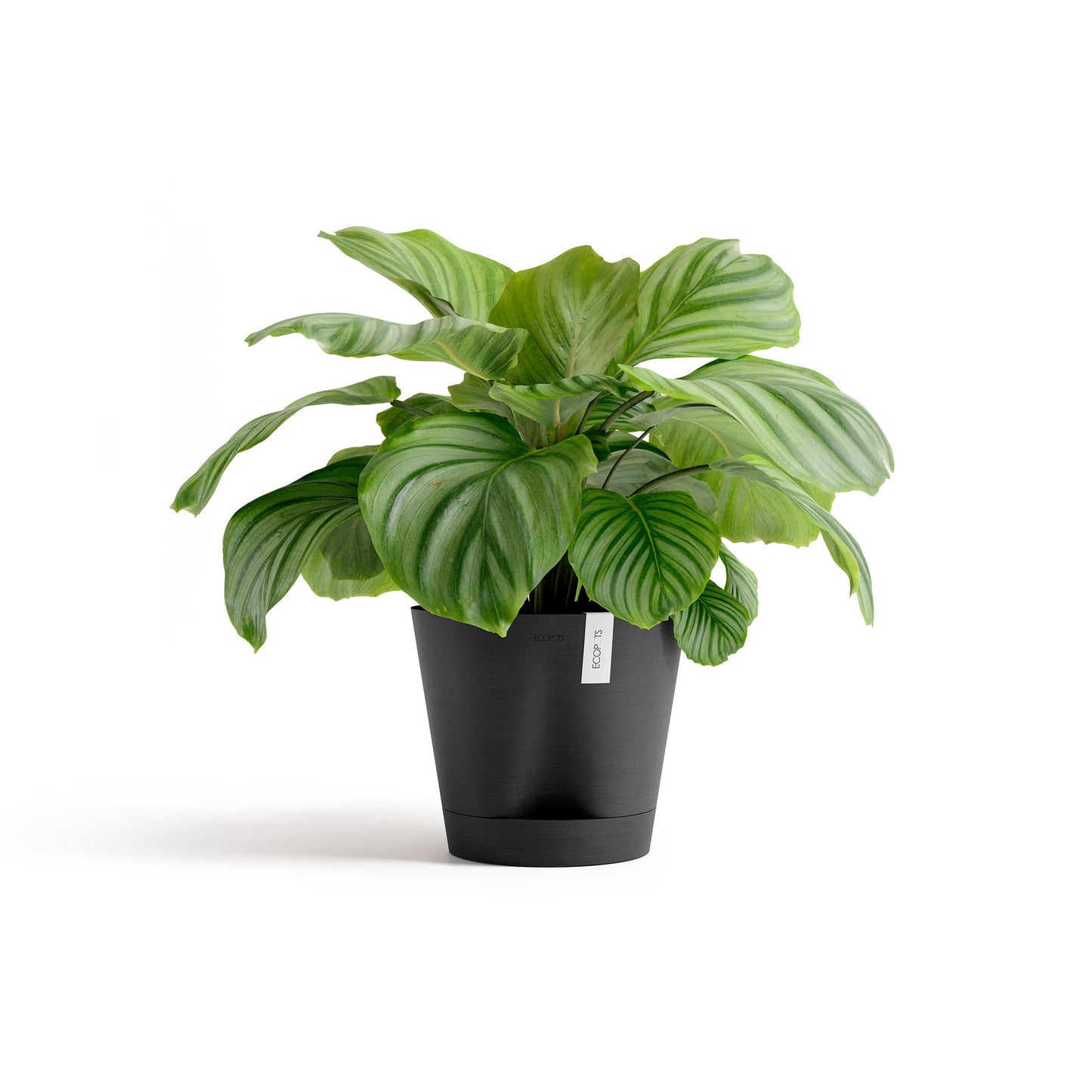 Kukkaruukku - Ecopots - Venetsia 2.0 30cm tummanharmaa - Ecopotskauppa - Uuden aikakauden kukkaruukku