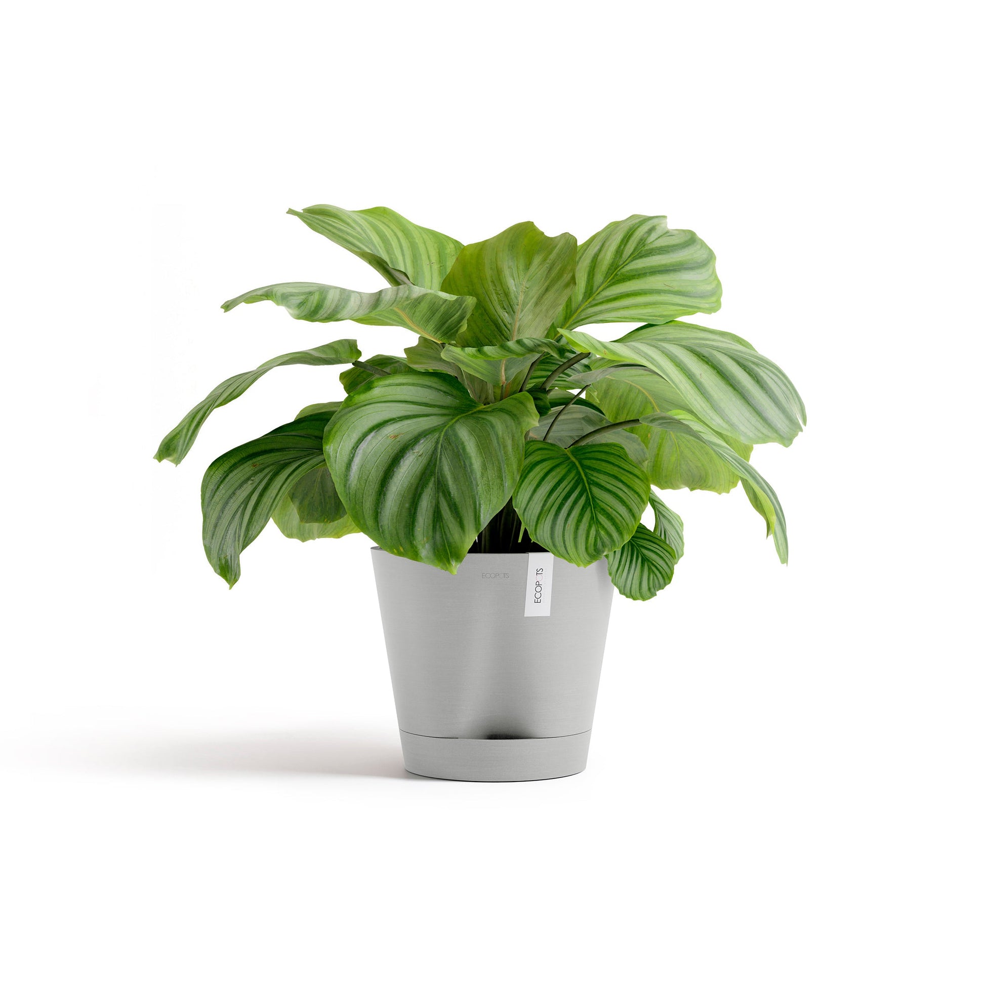 Kukkaruukku - Ecopots - Venetsia 2.0 30cm valkoharmaa - Ecopotskauppa - Uuden aikakauden kukkaruukku