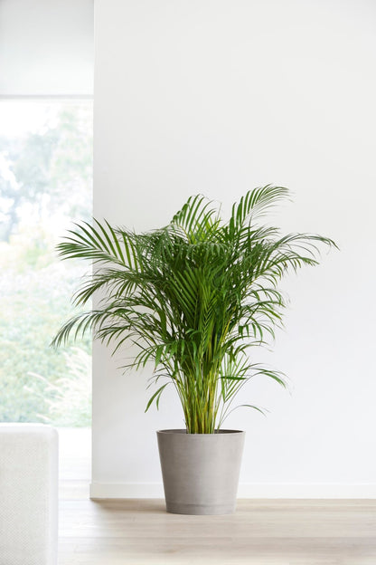 Kukkaruukku - Ecopots - Venetsia 30cm taupe - Ecopotskauppa - Uuden aikakauden kukkaruukku