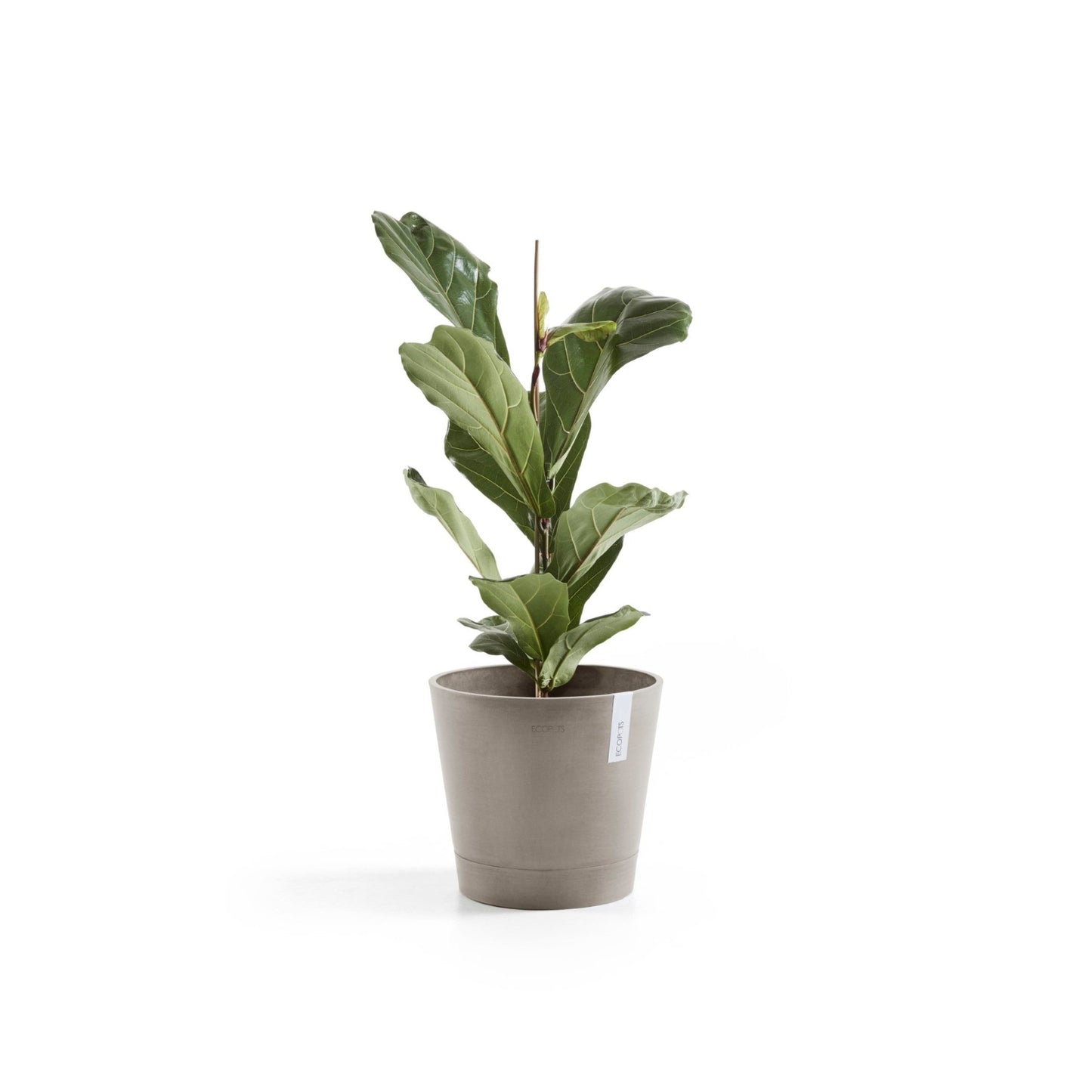 Kukkaruukku - Ecopots - Venetsia 30cm taupe - Ecopotskauppa - Uuden aikakauden kukkaruukku