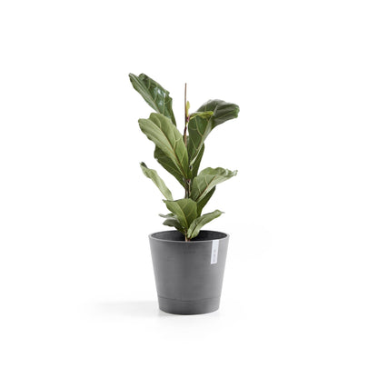 Kukkaruukku Venetsia 40cm harmaa